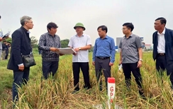 Nam Định: Bàn giao cọc giải phóng mặt bằng và mốc lộ giới dự án cao tốc Ninh Bình – Hải Phòng