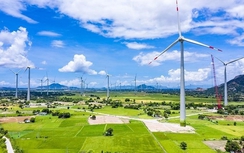 Đẩy mạnh nguồn vốn xanh hướng tới mục tiêu Net Zero