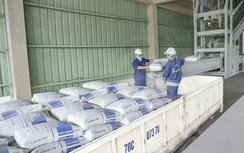 Dự kiến nhu cầu tiêu thụ xi măng toàn ngành năm 2025 đạt khoảng 100 triệu tấn