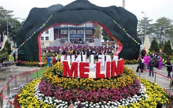 Hà Nội: Khai mạc Festival hoa Mê Linh lần thứ 2