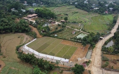 Có được tách thửa đất giãn dân theo quy định mới?