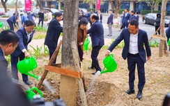 Viglacera khai Xuân và Tết trồng cây 2025