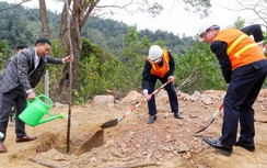 Ngành Giao thông vận tải Thái Nguyên: Phát động Tết trồng cây Xuân Ất Tỵ