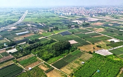 Hưng Yên chuẩn bị đấu giá 45 thửa đất, khởi điểm từ 16 triệu đồng/m2