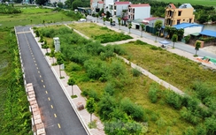 Hà Nội: Huyện Thanh Oai sẽ đấu giá lại 54 lô đất bị bỏ cọc