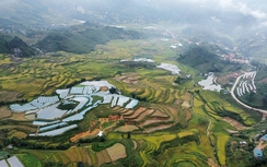 Lào Cai: Điều chỉnh Chương trình phát triển đô thị Bảo Hà giai đoạn đến năm 2030