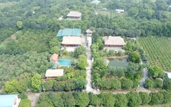 Những lưu ý khi làm lại sổ đỏ có thửa đất có ao, vườn, đất thổ cư