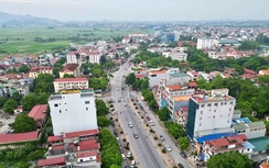Hà Nội: Phê duyệt phương án đầu tư xây dựng tuyến đường từ đê Tiên Tân đến trường Mầm non Đan Phượng