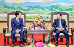 Vĩnh Phúc: Tập đoàn Sumitomo mong muốn được đầu tư khu công nghiệp mới