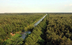 Hậu Giang: Điều chỉnh tăng mức đầu tư Đề án Du lịch sinh thái nghỉ dưỡng giải trí Khu Bảo tồn thiên nhiên Lung Ngọc Hoàng