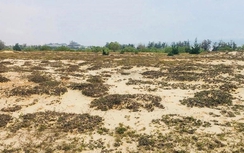 Quảng Bình: Thu hồi hơn 70.000m2 đất tại dự án của Công ty Cổ phần Đông Dương Miền Trung