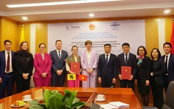 Strengthening Vietnam-Belgium maritime cooperation