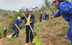 Xuân Dạ Hợp – Ươm mầm xanh