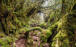 Những cuộc du lịch phiêu lưu thú vị nhất ở Malaysia