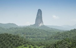 "Cây kim đá" khổng lồ giữa khu rừng đầy rắn ở châu Phi
