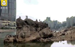 Du khách đổ xô đi xem rùa đá khổng lồ ở Trung Quốc