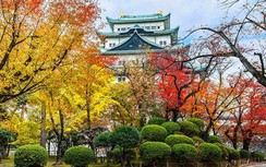 Những điểm tham quan ấn tượng nhất Nhật Bản được du khách quốc tế cực yêu thích