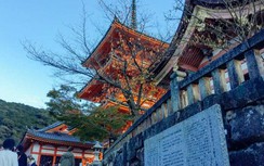 Uống nước suối may mắn trong ngôi chùa quốc bảo ở Nhật Bản