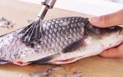 Trắc nghiệm: "Rước họa vào thân" vì ăn cá không biết phần đại bổ hay cực độc