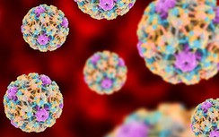 7 điều ít ai biết rõ về HPV, căn bệnh tình dục phổ biến nhất hiện nay