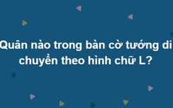 Trắc nghiệm: Tranh thủ nghỉ lễ cùng luyện IQ với bộ câu hỏi này