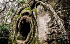 Công viên quái vật huyền bí bị lãng quên suốt 400 năm