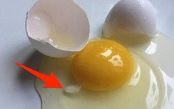 Trắc nghiệm: Dù đảm đến mấy bạn vẫn chưa chắc đã biết bảo quản và lựa chọn trứng đúng cách