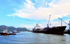 Không đủ điều kiện, cảng Quy Nhơn vẫn "xé rào" hoạt động lai dắt tàu