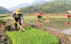 Tản văn: Mùa gieo hạt