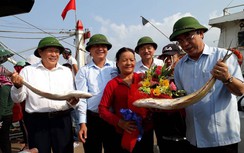 Trúng đậm 150 tấn cá bè vàng, ngư dân Quảng Trị thu 7 tỷ đầu Xuân