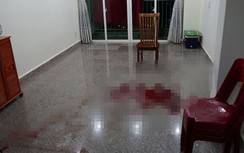 Nguyên nhân người phụ nữ đâm chết thanh niên tại chung cư Hoàng Anh Gia Lai