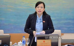 "Nhiều ngôi sao, ca sĩ lập doanh nghiệp, công ty để trốn thuế"