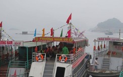 Tàu thuyền nhộn nhịp ở “Hạ Long trên cạn” mùa lễ hội