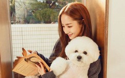 Park Min Young khoe vẻ dịu dàng bên cún cưng