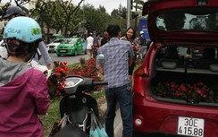 Hà Nội, dân mang cả ô tô “hôi” hoa sau thượng đỉnh Mỹ - Triều