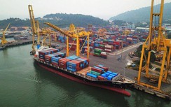 Cảng Đà Nẵng có thêm tuyến vận tải chạy thẳng Nhật Bản