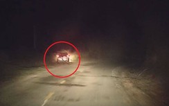 Video: Rợn người chứng kiến cảnh ô tô 7 chỗ lao xuống vực giữa đêm