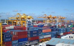 Tân cảng Sài Gòn giảm mạnh phí lưu container tồn đọng tại cảng Cát Lái