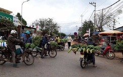 Họp “chợ chuối” trên QL9: Chủ tịch tỉnh chỉ đạo xây chợ mới