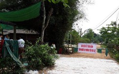Xuất hiện ổ dịch tả lợn châu Phi thứ 3 tại Thừa Thiên - Huế