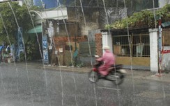 Cơn "mưa vàng" giải nhiệt cho người dân vùng ven TP.HCM
