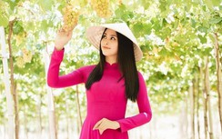 Hoa hậu Tiểu Vy: Hạnh phúc khi đi làm vào ngày lễ