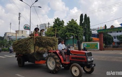 Xe công nông, máy kéo độ chế nhan nhản ở Tây Nguyên: “Nông cụ” khó thay thế