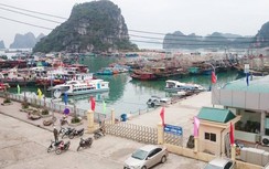 Quảng Ninh: Giảm giá vé tàu cho người dân thường trú trên đảo Cô Tô