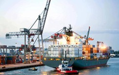 Hàng container qua cảng biển sẽ ngắt đà giảm, tăng trưởng mạnh hai con số?
