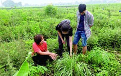 Bài học của những doanh nhân vừa khởi nghiệp