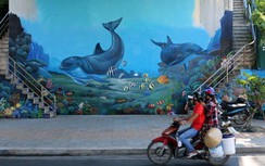 Ngắm "đại dương xanh" giữa lòng phố Nha Trang