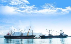 Đề xuất bổ sung 12 cảng biển phục vụ xuất nhập khẩu