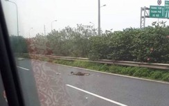 Hà Nội: Bị xe tông, người đàn ông nhặt rác tử vong trên đại lộ Thăng Long