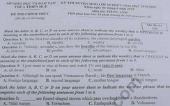 Đáp án đề thi tuyển sinh vào lớp 10 môn Tiếng Anh năm 2019 ở Huế